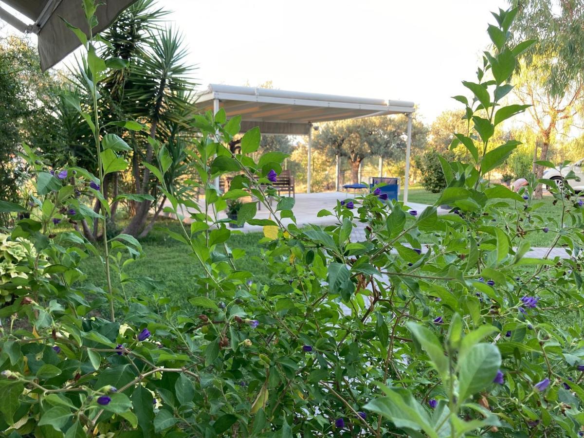 Torrevecchia TeatinaGioia In Collina住宿加早餐旅馆 外观 照片