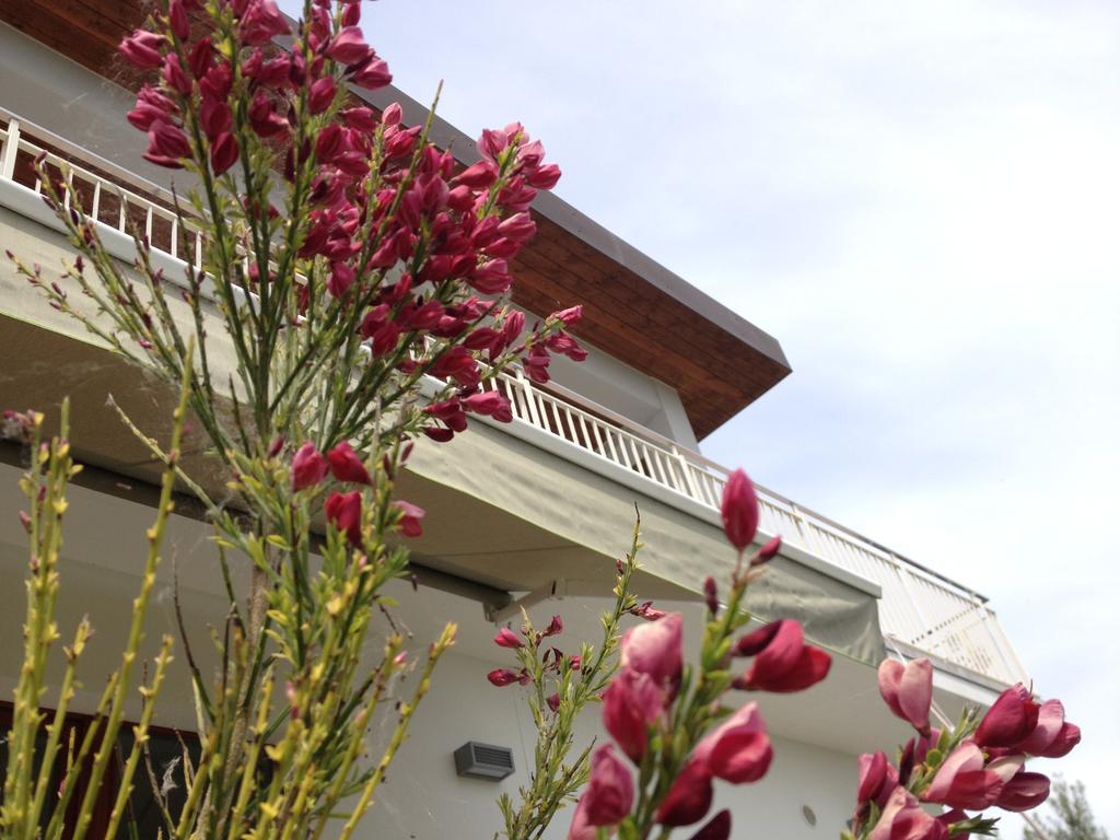 Torrevecchia TeatinaGioia In Collina住宿加早餐旅馆 外观 照片